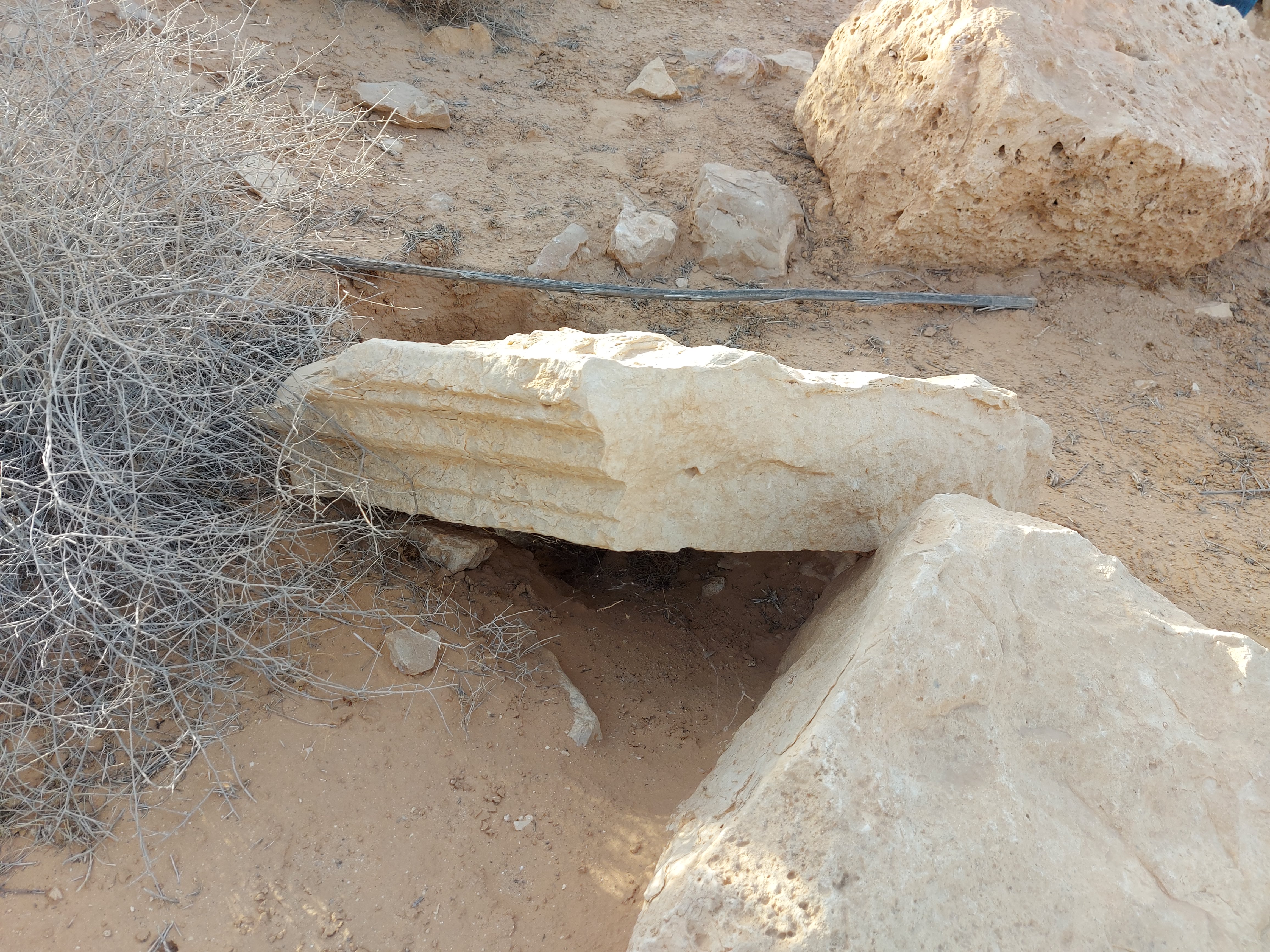 Ras El Ein conclusion